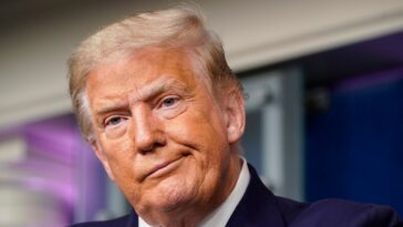 Surprise : le mur frontalier de Donald Trump, pour lequel le Mexique n'a jamais payé, a causé des « dommages irréparables » à l'environnement, aux espèces menacées et aux sites culturels