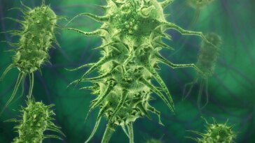Green Bacteria Virus