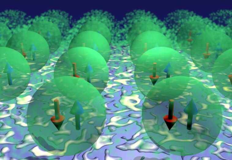 Triplon Visualization