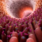 Human Gut Microbiome Illustration