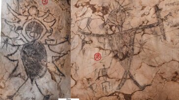 Malaysian Rock Art