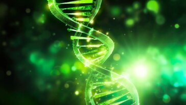 Glowing Green DNA Longevity