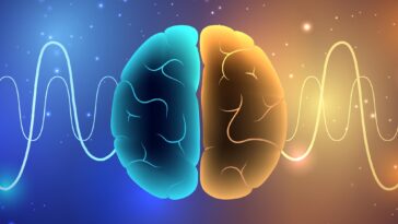 Simple Brain Waves Signals Illustration