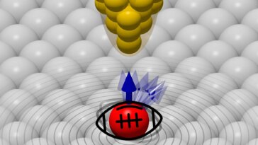 New Quantum Effect Spinaron