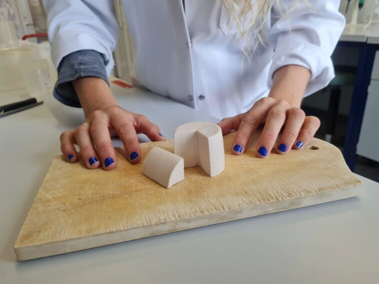 Bonne texture et bon goût – Les scientifiques utilisent une technologie ancienne pour améliorer le fromage à base de plantes Bonne texture et bon goût – Les scientifiques utilisent une technologie ancienne pour améliorer le fromage à base de plantes