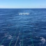 Seismic Survey at Hikurangi