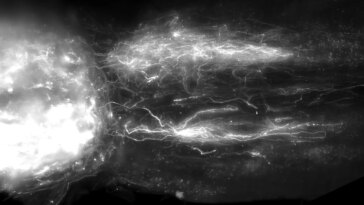 Défier « l’impossible » – Inverser la paralysie grâce à la régénération de la moelle épinière