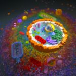 Des atomes aux organismes : la « théorie de l’assemblage » unifie la physique et la biologie pour expliquer l’évolution et la complexité Des atomes aux organismes : la « théorie de l’assemblage » unifie la physique et la biologie pour expliquer l’évolution et la complexité