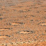 Fairy Circles Desert