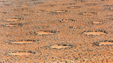 Fairy Circles Desert