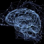 Des scientifiques découvrent des signaux cérébraux favorisant de bonnes performances de mémoire Brain Memory Concept