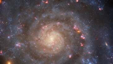 Du face-à-face au bord : l’histoire en spirale d’une galaxie époustouflante
