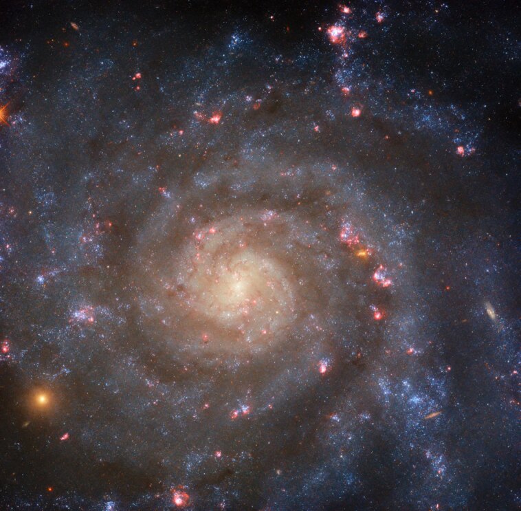 Du face-à-face au bord : l’histoire en spirale d’une galaxie époustouflante