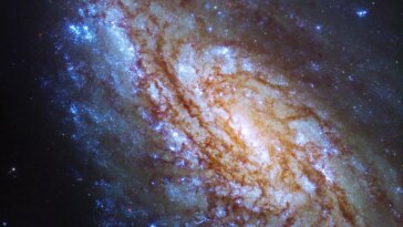 Enigme asymétrique : Hubble explore une galaxie dynamique de l'amas de la Vierge