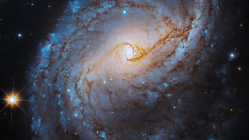Hubble capture une galaxie avec des bras bleus brillants et un « anneau circumnucléaire » vieux d’un milliard d’années