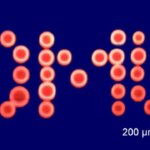 OMU Optical Vortex Laser-Induced Printing Technique