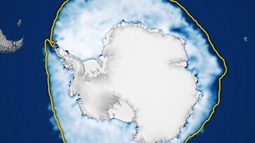 Jalons à couper le souffle : la glace de mer de l'Antarctique connaît une croissance faible et record