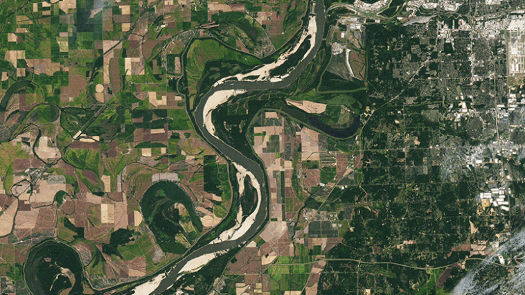 Mississippi River Parched