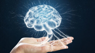 Hand Holding Digital Brain