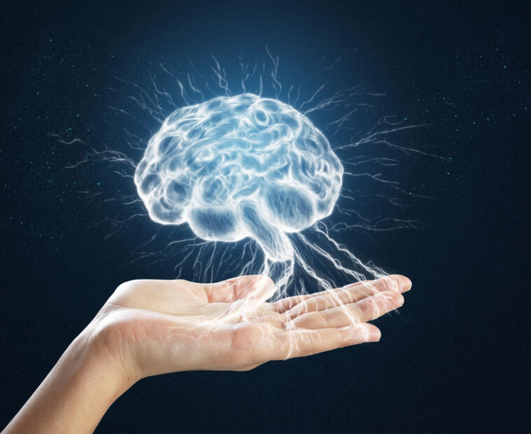 Hand Holding Digital Brain