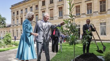 Le roi Charles et la reine Camilla reviennent à leurs premières passions : les énergies renouvelables et la danse