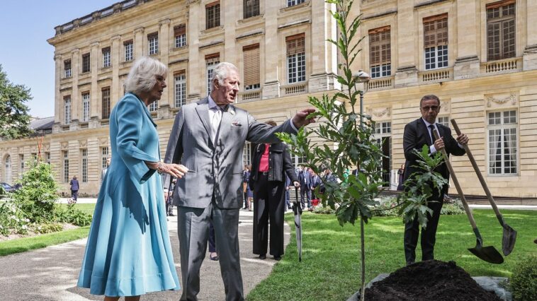 Le roi Charles et la reine Camilla reviennent à leurs premières passions : les énergies renouvelables et la danse