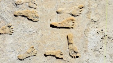 Les empreintes anciennes au Nouveau-Mexique modifient la chronologie de la première présence humaine en Amérique du Nord