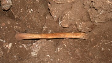Marmoles Cave Entrance