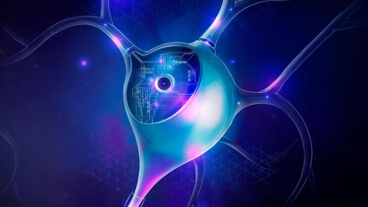 Neurones décodés : le flux de travail universel qui alimente Brain Insights Unlocking Secrets of Neuronal Function