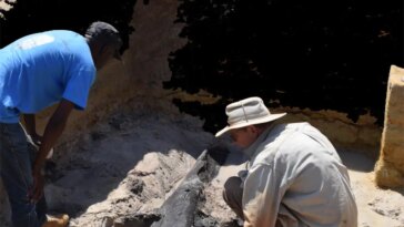 Uncovering the Wooden Structure