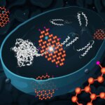 Oxyde de graphène : Nano-Warrior réduit la toxicité des protéines d'Alzheimer Graphene Oxide Reduces the Toxicity of Alzheimer’s Proteins in Yeast Cells