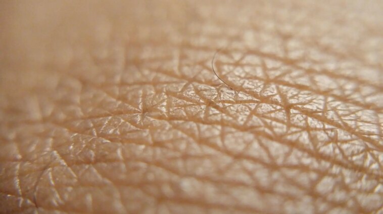 Skin Close Up