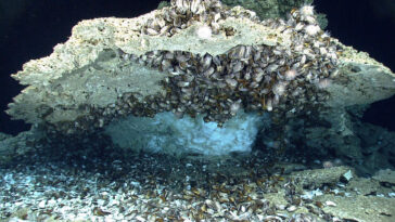 Methane Clathrate