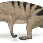 Secrets de survie : caractéristiques surprenantes des mammifères qui survivent aux extinctions massives