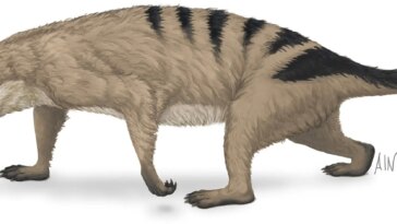 Secrets de survie : caractéristiques surprenantes des mammifères qui survivent aux extinctions massives