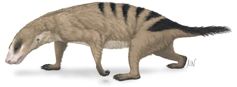 Secrets de survie : caractéristiques surprenantes des mammifères qui survivent aux extinctions massives Secrets de survie : caractéristiques surprenantes des mammifères qui survivent aux extinctions massives