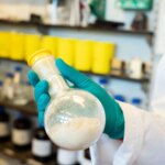 Sel et « pâtisserie » : une simple combinaison résout un grave problème environnemental Sel et « pâtisserie » : une simple combinaison résout un grave problème environnemental