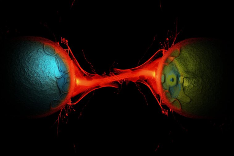 Surprise au milieu du corps : des restes de division cellulaire pourraient être responsables de la propagation du cancer Cell Division Art