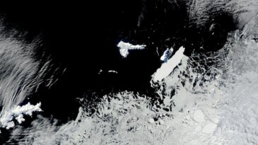 Un iceberg de 39 miles marins de long frôle l'île Clarence