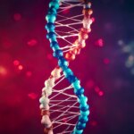 Un paradoxe génétique : la consanguinité peut être bénéfique à long terme Red Blue DNA Strand