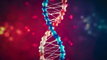 Red Blue DNA Strand