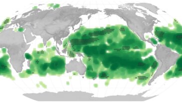Une mer de changement : le changement climatique fait passer nos océans du bleu au vert