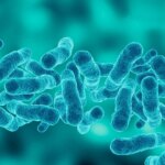 Une nouvelle étude révèle que plus de personnes développent une septicémie que nous ne le pensions Blue Bacteria Pneumonia