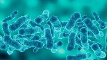 Blue Bacteria Pneumonia