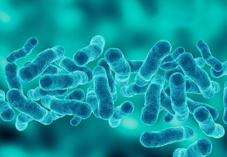 Blue Bacteria Pneumonia