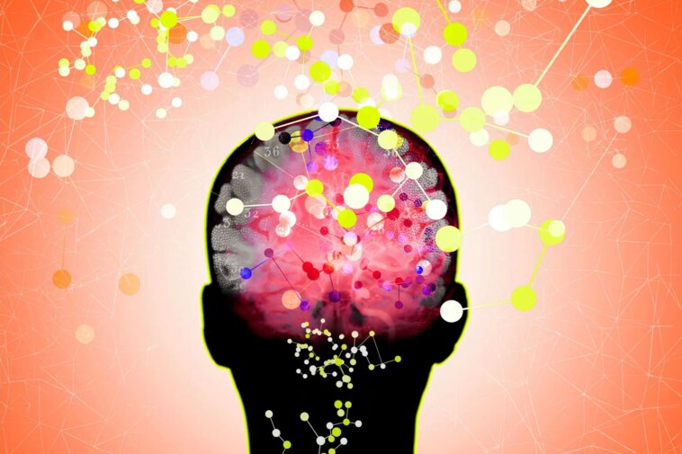 Une nouvelle recherche révèle comment les acides aminés liés à la vitamine B pourraient augmenter votre risque de démence Brain Connections Network Concept Illustration