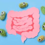 Prebiotics Gut