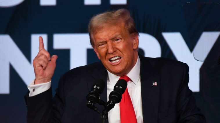 Camps de détention, rivaux « vermines » et purge gouvernementale : Trump veut devenir totalement autoritaire