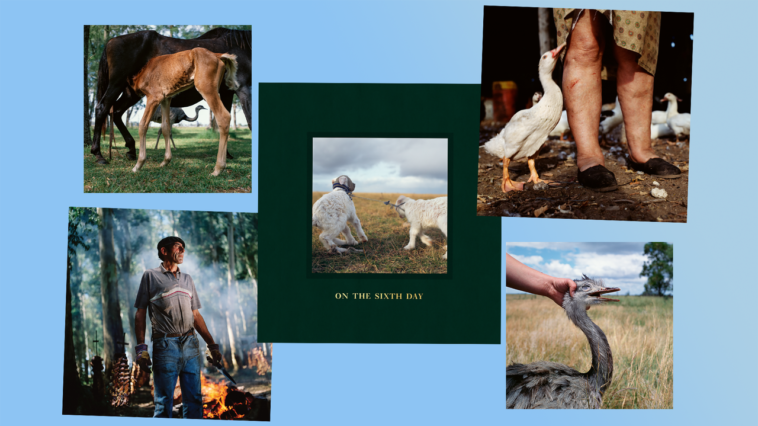 Le sixième jour d'Alessandra Sanguinetti capture la vie dans une ferme argentine Le sixième jour d'Alessandra Sanguinetti capture la vie dans une ferme argentine
