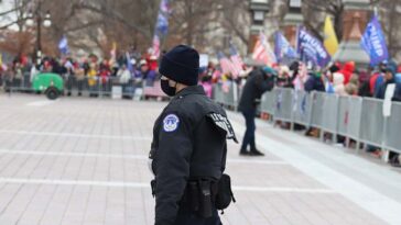 cc Elvert Barnes wikidata:Q104713920, modified, https://commons.wikimedia.org/wiki/File:Wednesday_afternoon,_6_January_2021_BEFORE_THE_SIEGE_@_U._S._Capitol_Grounds_-_East_Lawns_%26_Plaza_IMG_6272_%2851005059977%29.jpg